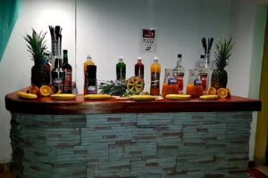 Servicio De Barra V&R