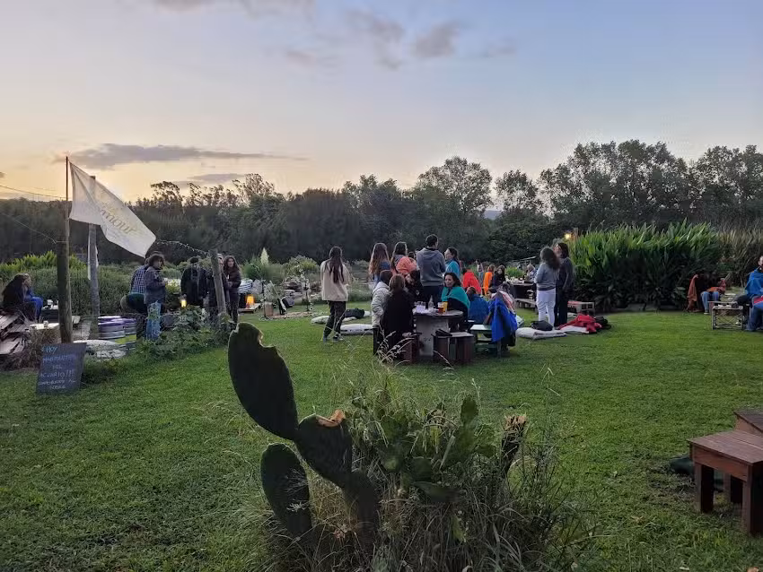 Seymour Cerveza Artesanal &ndash; Jard&iacute;n cervecero