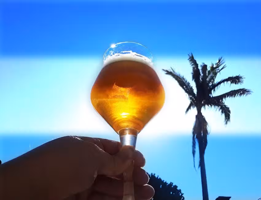 Taura Cerveza Artesanal