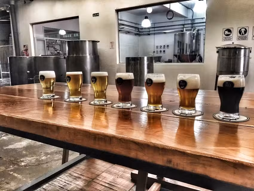 The Mula &ndash; Cerveza Artesanal