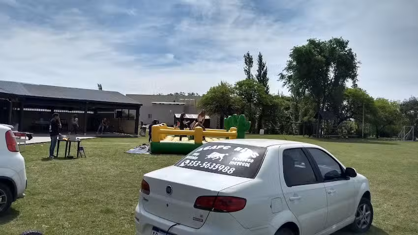 Toro mec&aacute;nico