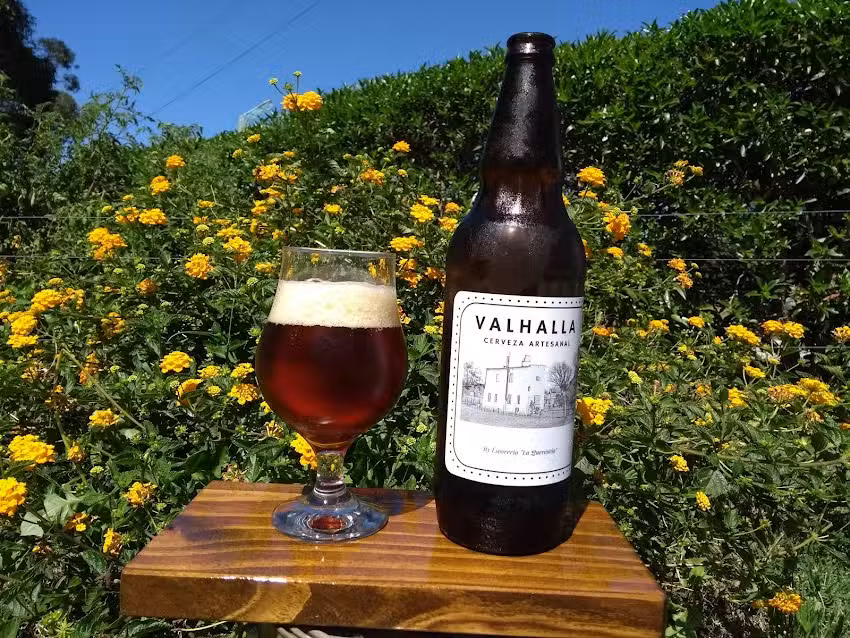 Valhalla Cerveza Artesanal