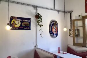 Viejo Cultivo coffee & growshop