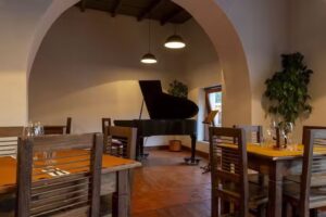 Viejo Olivo, Bar de Vinos, comidas, tapas, postres , tragos