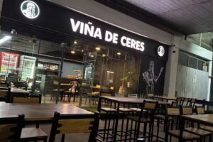 Vi&ntilde;a de Ceres