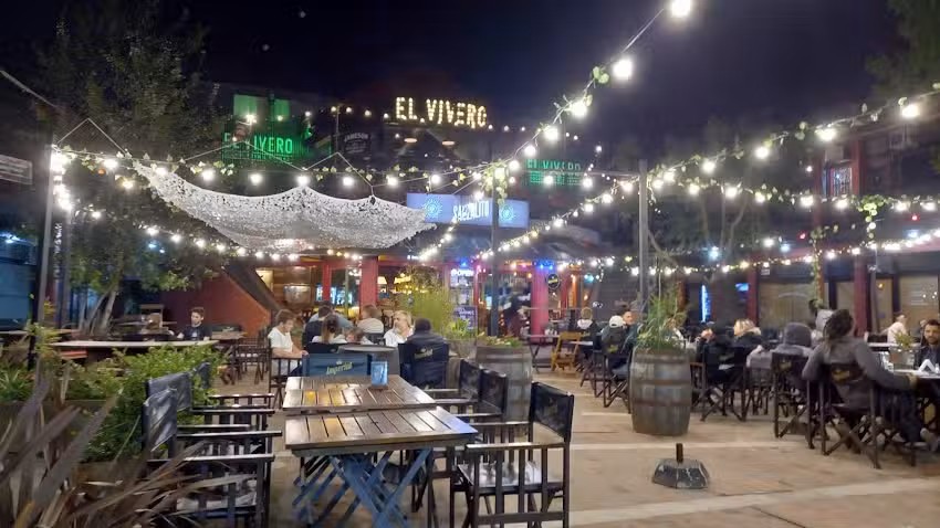 Vivero Bar (Primer Piso)