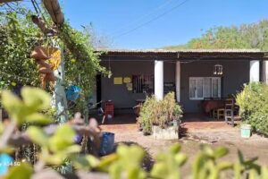 Vivero La Vi&ntilde;ita EL PADRINO