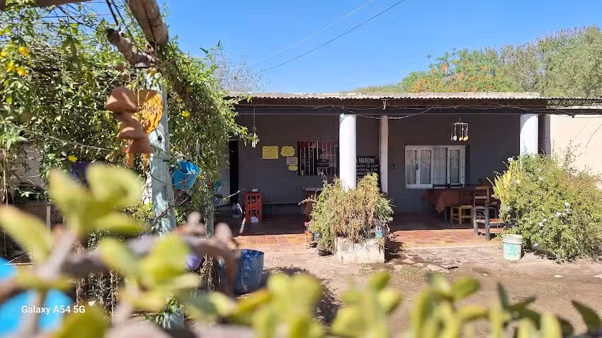 Vivero La Vi&ntilde;ita EL PADRINO